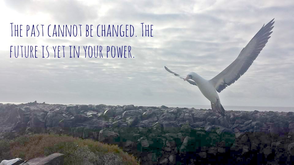 Life after Divorce Quotes - Divorce Club